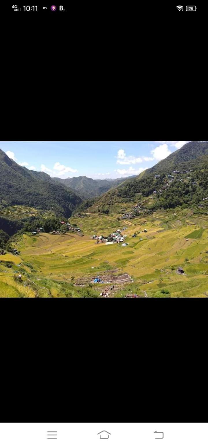 Batad Village Homestay & Restaurant Banaue Eksteriør billede
